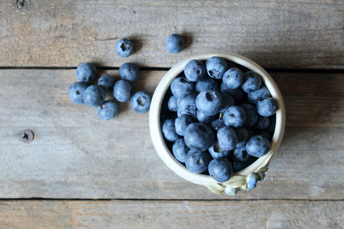 Selvatica | Berry Bowl Mirtillo Grande