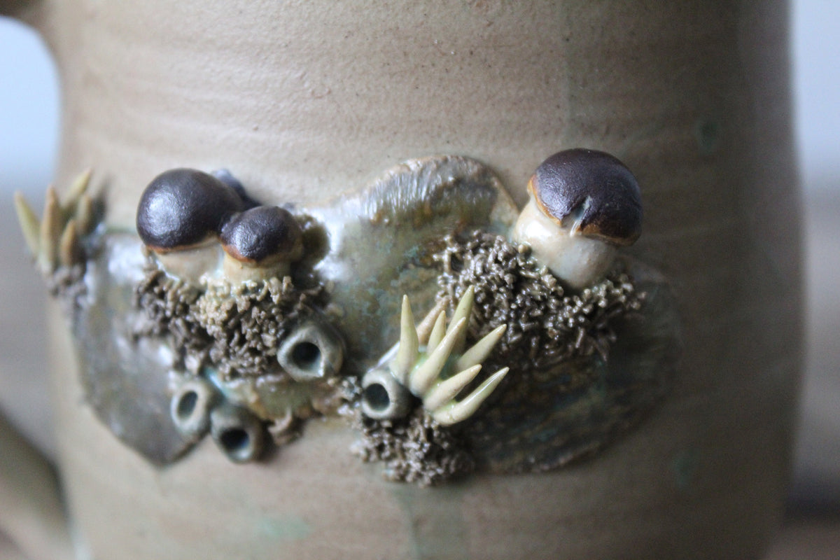 Selvatica | Tazza Boletus edulis Bosco