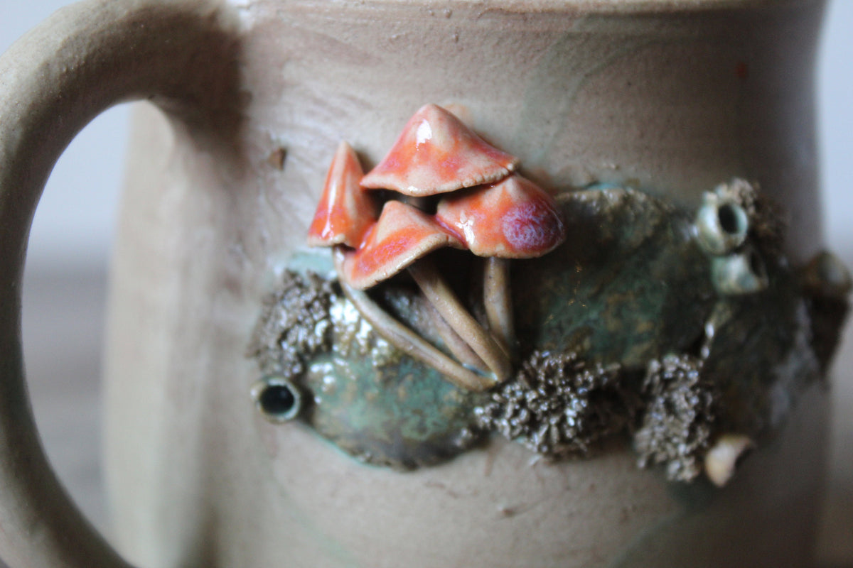 Tazza funghi e muschio dettaglio